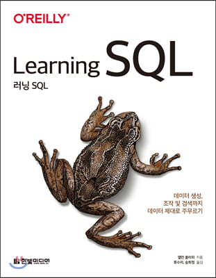 러닝 SQL : 데이터 생성, 검색, 조작까지 데..